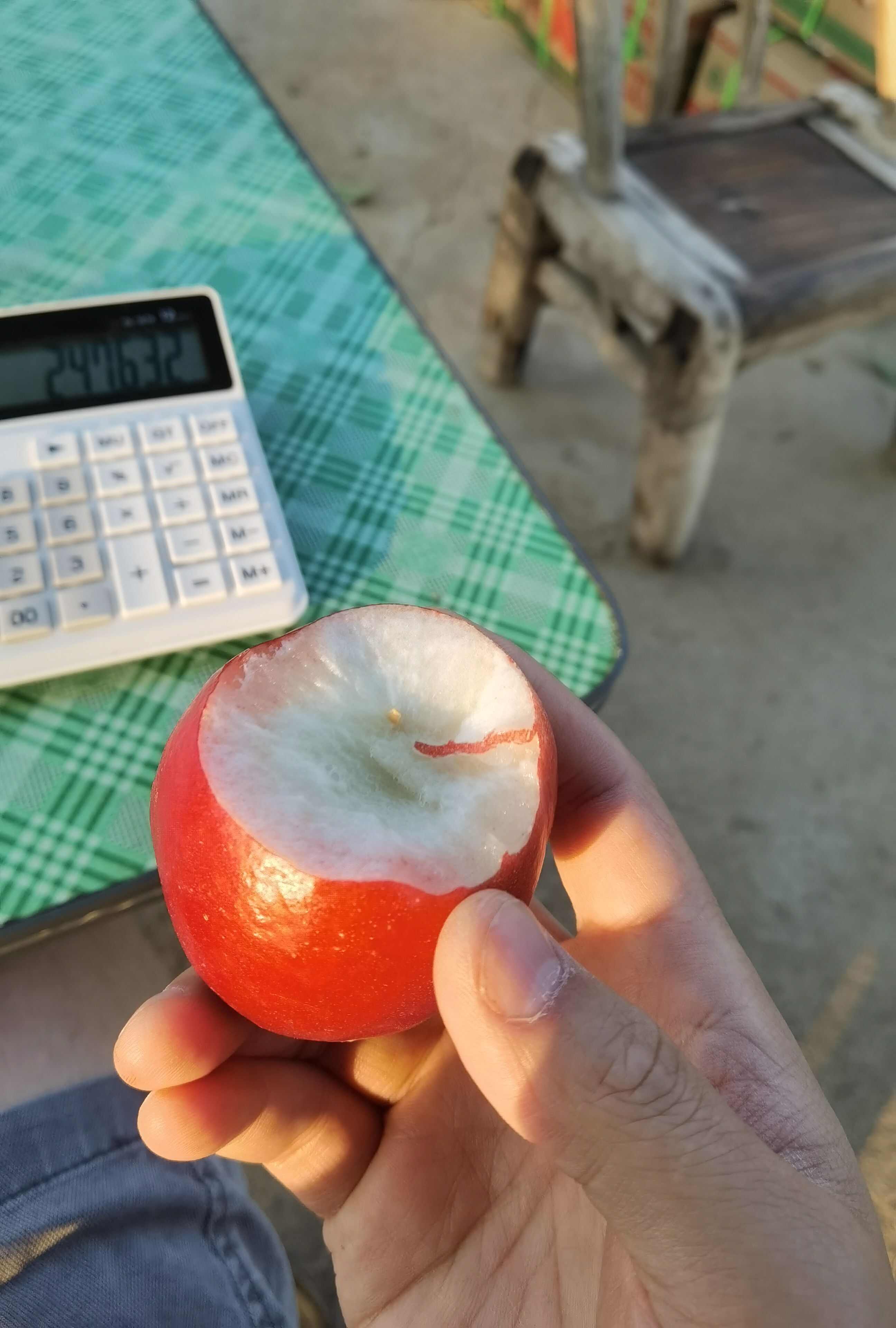 油桃桃子福建精品油桃桃子，大量供应。口感脆甜，产地一手货源