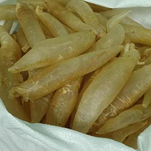 博罗县源头北海母鳘胶