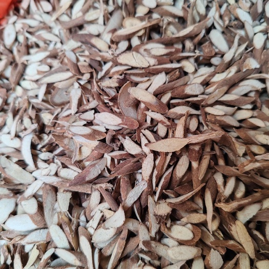 玉林小叶千斤拔片正品小叶千斤拔片小片瓜子片