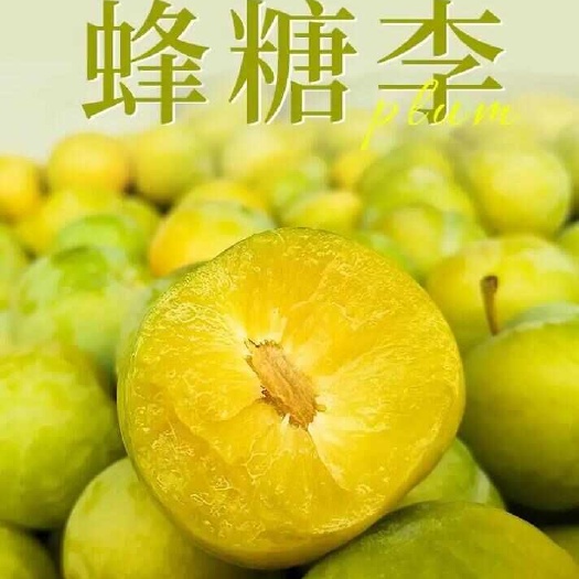 原产地六马蜂糖李