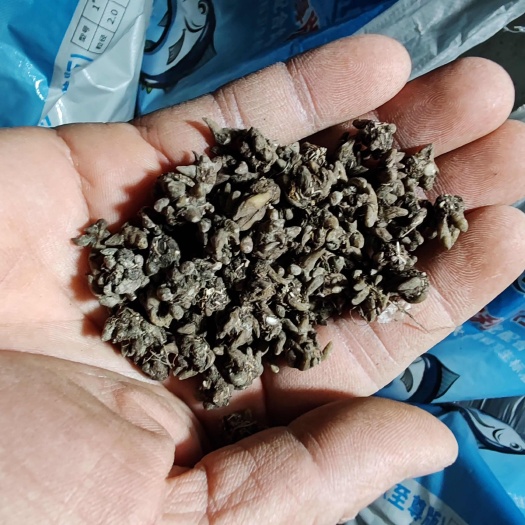 淮滨县猫爪草（一级货）