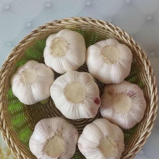 振杞牌大蒜