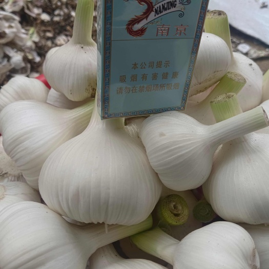 新沂市2025 精品独头蒜