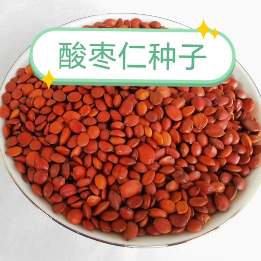 酸枣仁种子  酸枣仁饮片 酸枣仁 酸枣仁98货