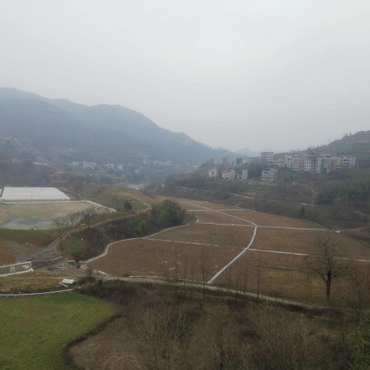 礼泉县山乡土地寻找合作发展