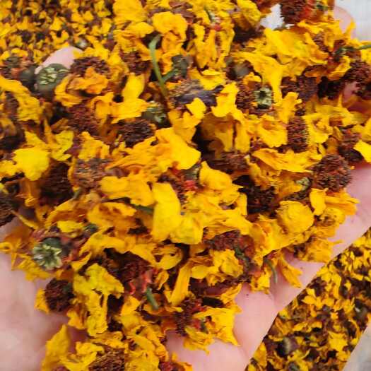 昆明雪菊 昆仑雪菊 昆仑雪菊干货大货批发
