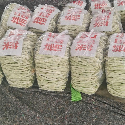 河南四季豆，白不老四季豆，基地直供，价格低。线上保障交易