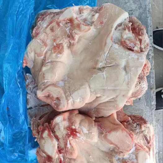 猪头肥猪无耳猪头劈开11-12斤瘦肉多