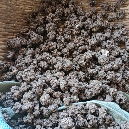 淮滨县通货颗粒均匀，干净