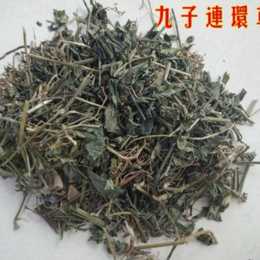 安国市九子连环草 干货 各种冷背中药材 量大优惠
