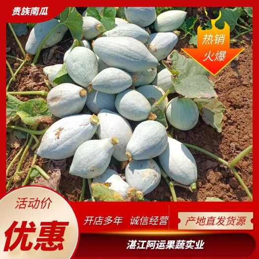 雷州市湛江贵族南瓜大量供货