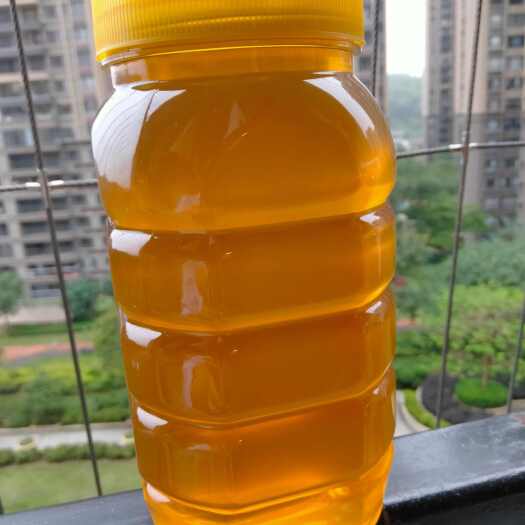 东源县蜂蜜