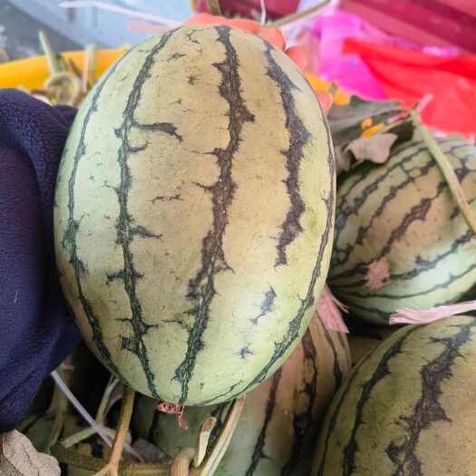 西华县吊西瓜