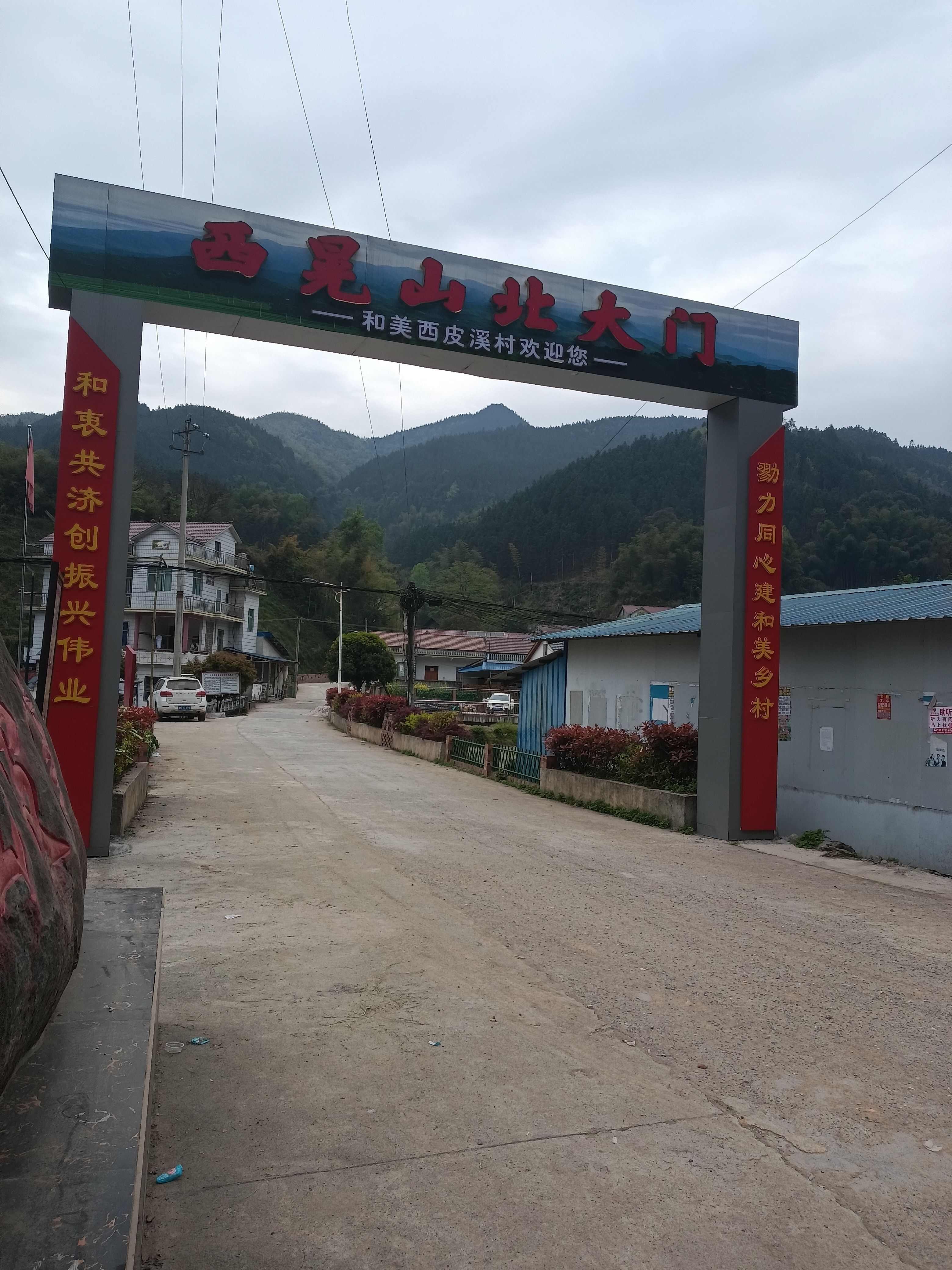 干品甜黄精，湘西西晃山特产多花姜形甜黄精(富硒)滋补。