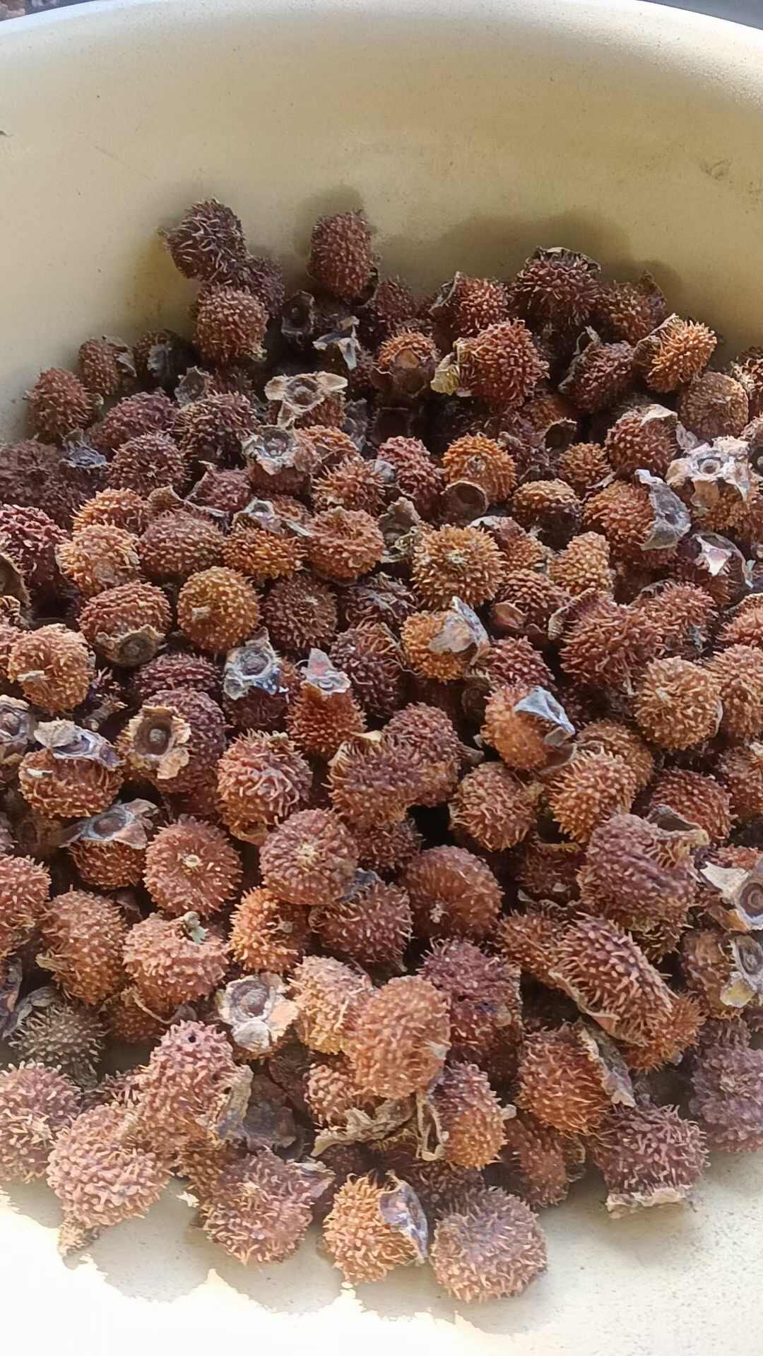 刺梨干货 药食同源 大粒选货 量大优惠