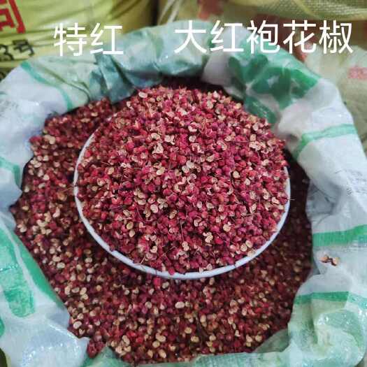 文县甘肃花椒2025当季新货
