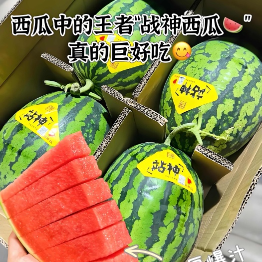 湖北大棚甘美4K西瓜新鲜现摘产地直发