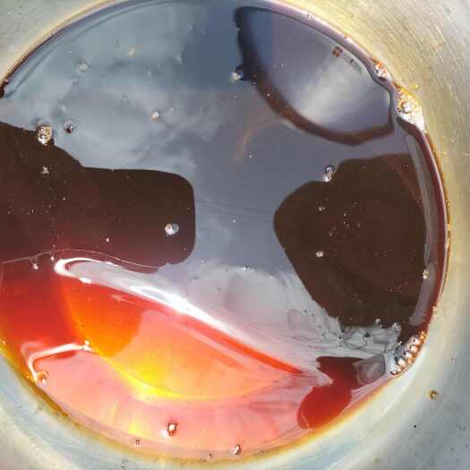 日照浓缩海红汁