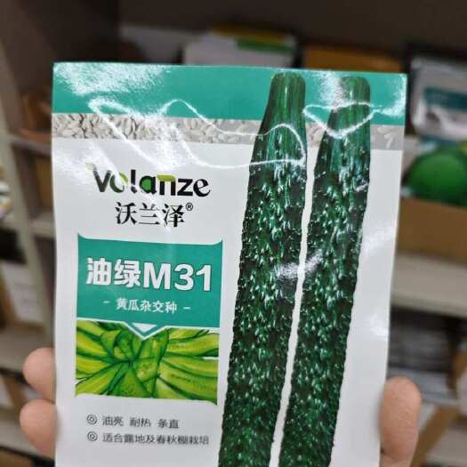 宿迁神鲁18号黄瓜种子耐热品种强磁黄瓜种子