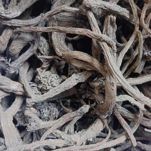 波密县倒提壶