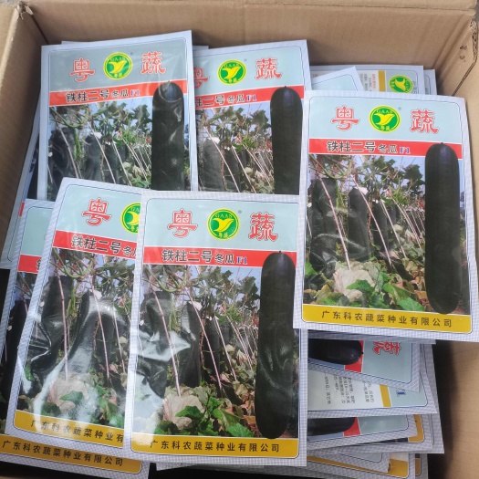 广东农科院铁柱二号黑皮冬瓜种子原装每袋200粒铁柱二号冬瓜