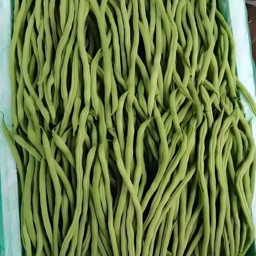昌宁县云南露天种植无筋豆无丝豆豆王，产地直供，一件代发