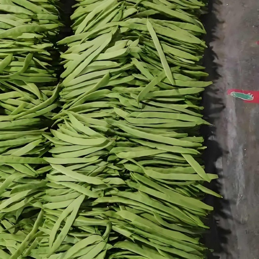 云南露天种植扁豆产地直供批发，一件代发