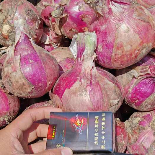 通许县精品洋葱！二红！紫红！品种齐全！储存加工！欢迎下单