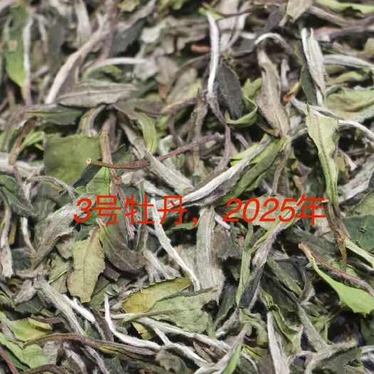 福鼎白茶厂家，2025年花香白牡丹