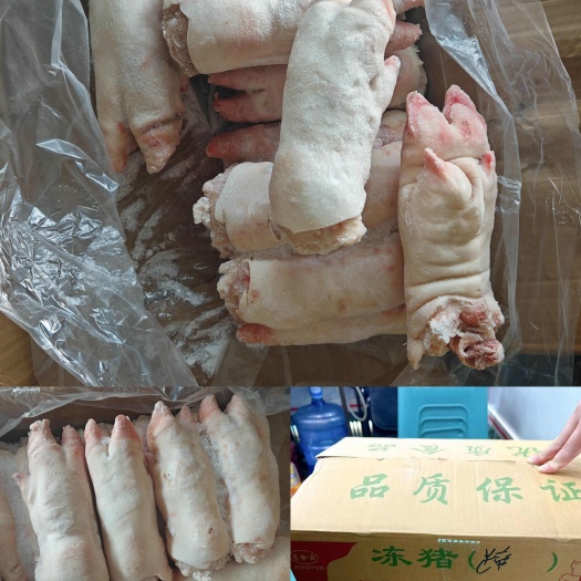 高碑店市国产母猪蹄，一箱11-14左右