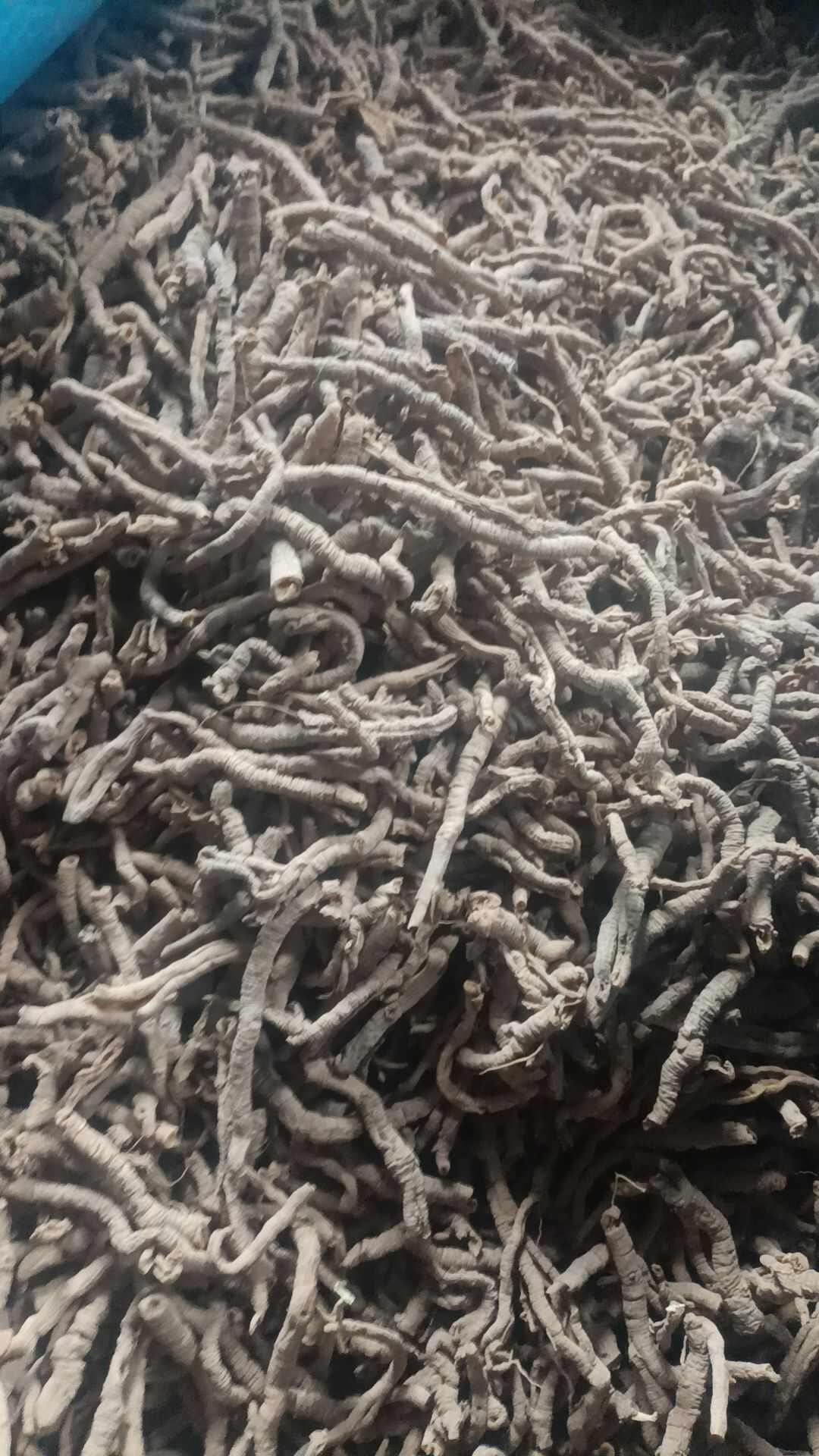 自家远志桶