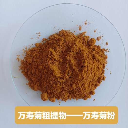 曲周县饲料原料 菊花粉 万寿菊粗提物 蛋黄着色 肉鸡着色