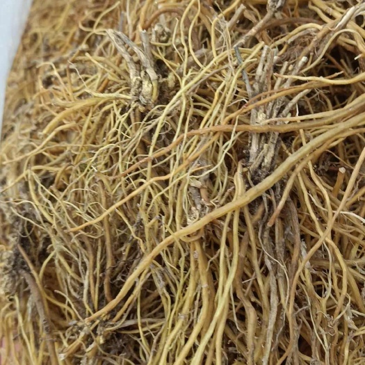 昆明龙胆草云南龙胆优质龙胆中药材根茎类药材
