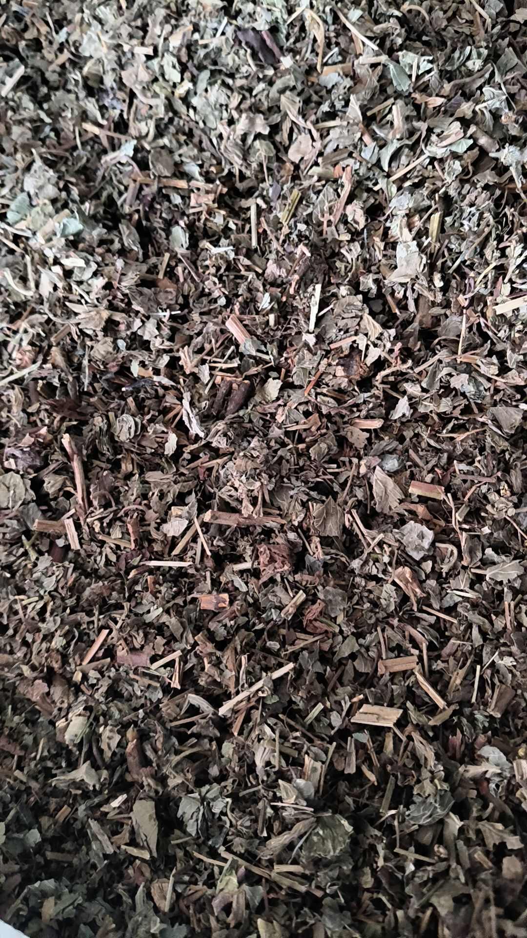 仙鹤草中药材仙鹤草切断仙鹤草