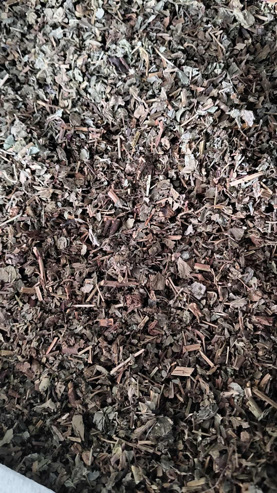 仙鹤草中药材仙鹤草切断仙鹤草