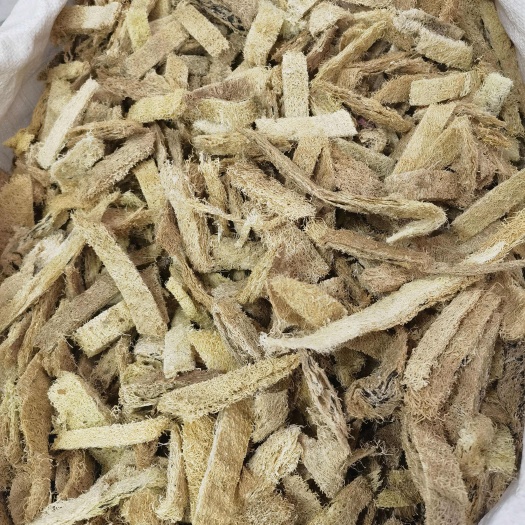 亳州丝瓜络 中药材丝瓜络