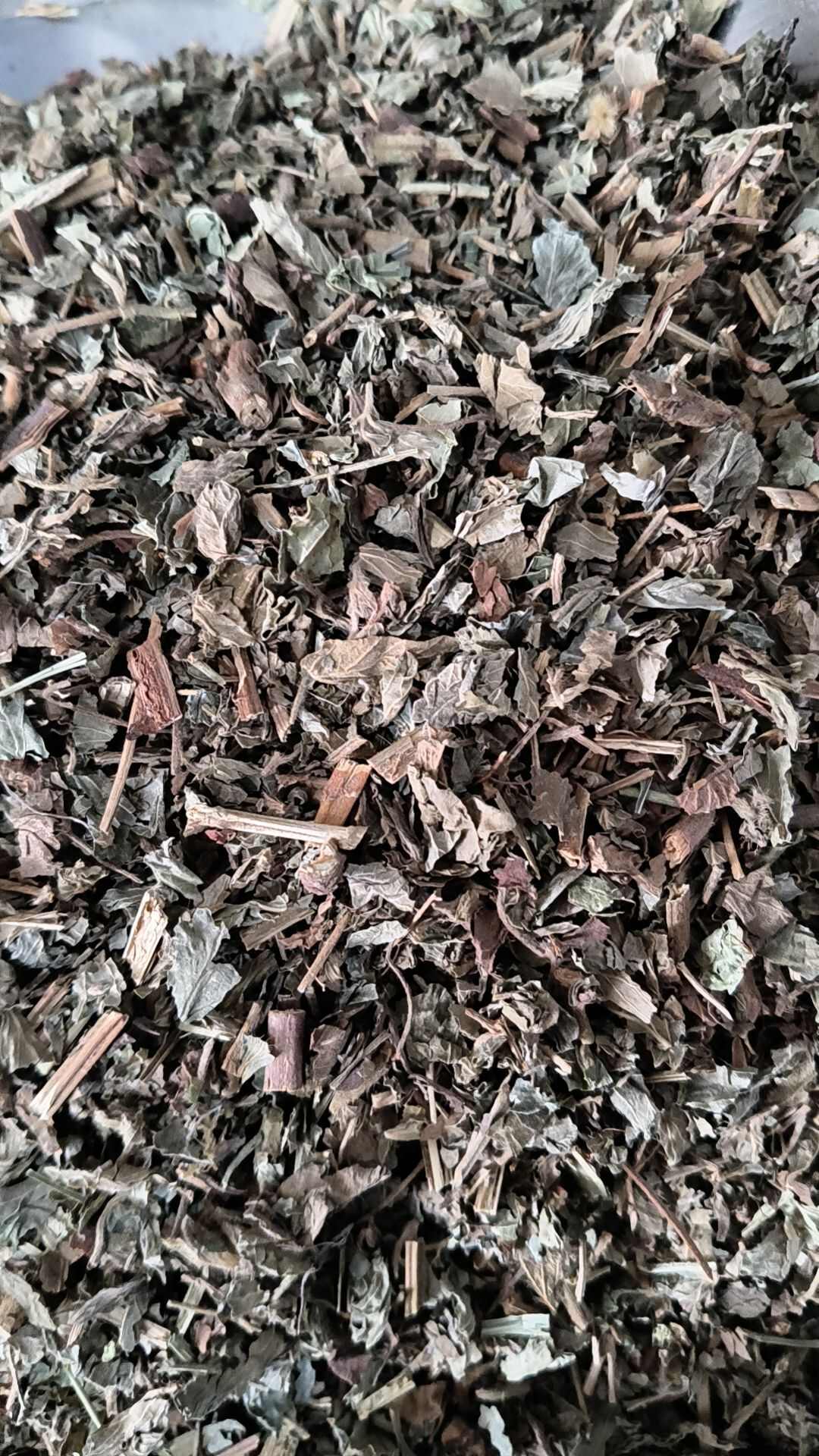 仙鹤草中药材仙鹤草切断仙鹤草