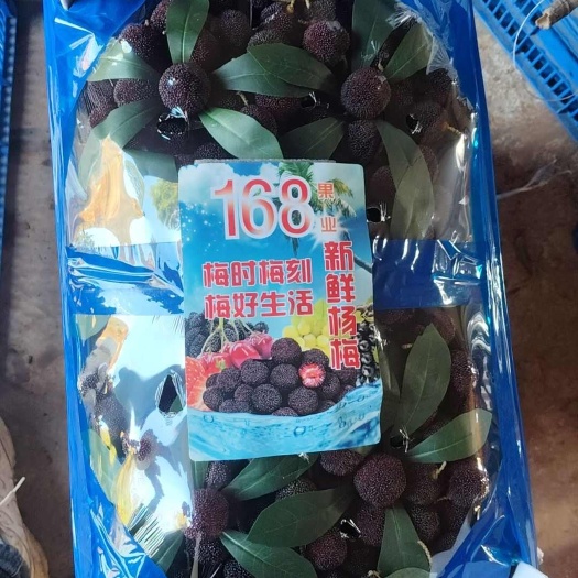 新鲜杨梅，好吃口感很好，当天摘当天发货，