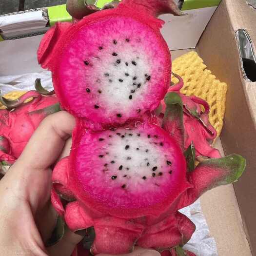 冰淇淋双色火龙果
