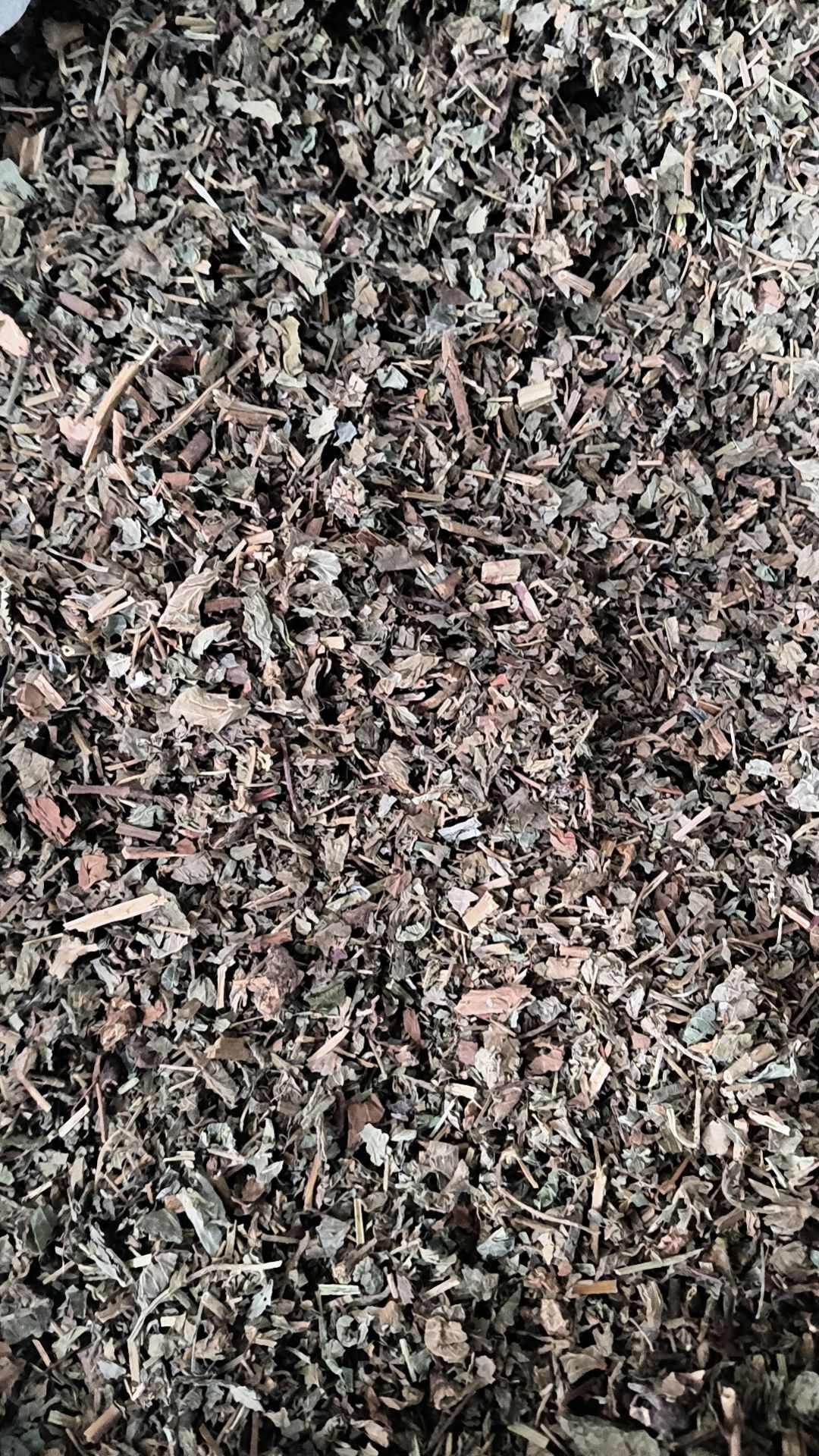 仙鹤草中药材仙鹤草切断仙鹤草
