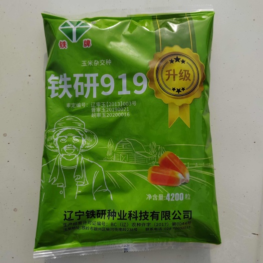 铁研919玉米种红轴大穗抗倒抗