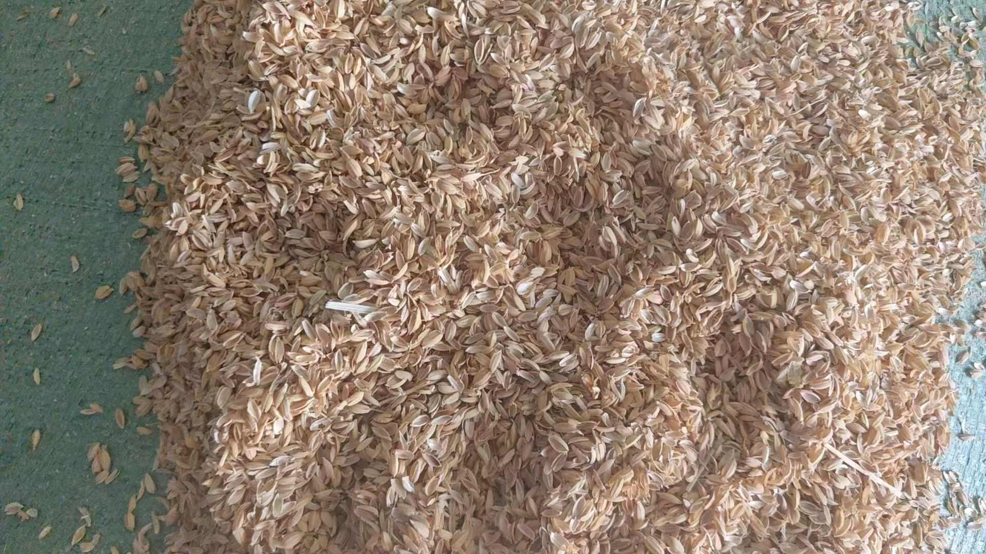 贵州直销常年供应 压缩稻壳 现打稻壳酿酒制醋 量大从优