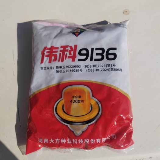 伟科9136玉米种红轴大穗抗倒抗