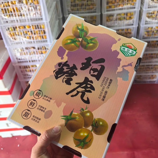 寿光市唐伯虎番茄，千玺圣女果，玲珑小番茄，多彩小柿子，货源充足稳定