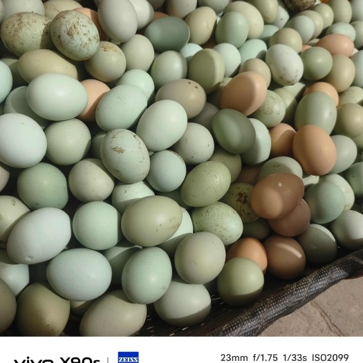 阳新县土鸡蛋