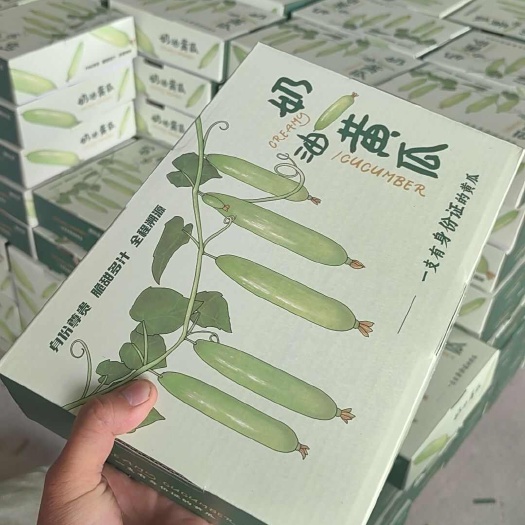 寿光市奶油小黄瓜，产地直采直发，团购爆品