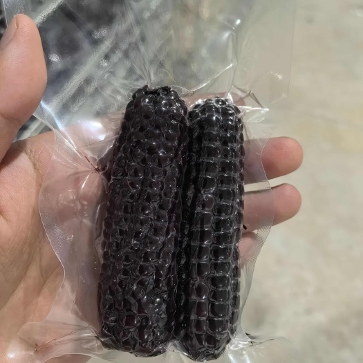 景洪市紫糯A级精品，新鲜发货，支持代发，批发