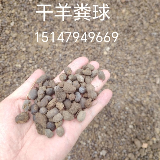 景谷县干羊粪球，羊粪蛋，干羊粪