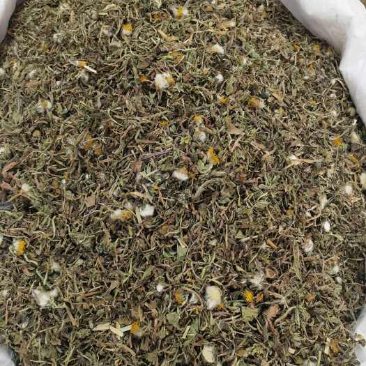 亳州中药材蒲公英 蒲公英根 蒲公英茶