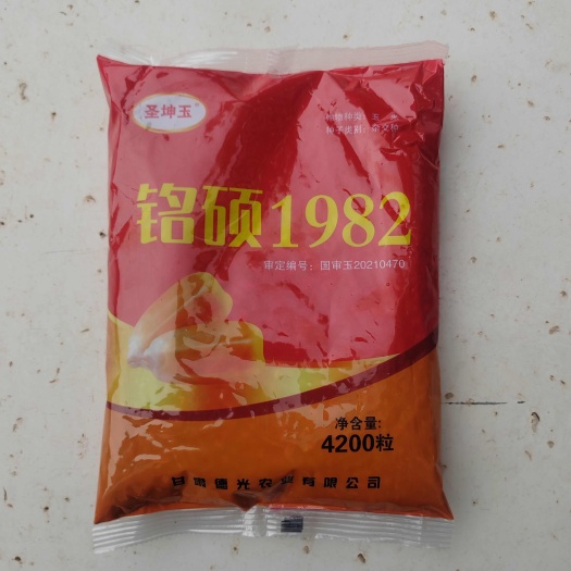 故城县铭硕1982国审玉米种红轴大穗抗倒抗